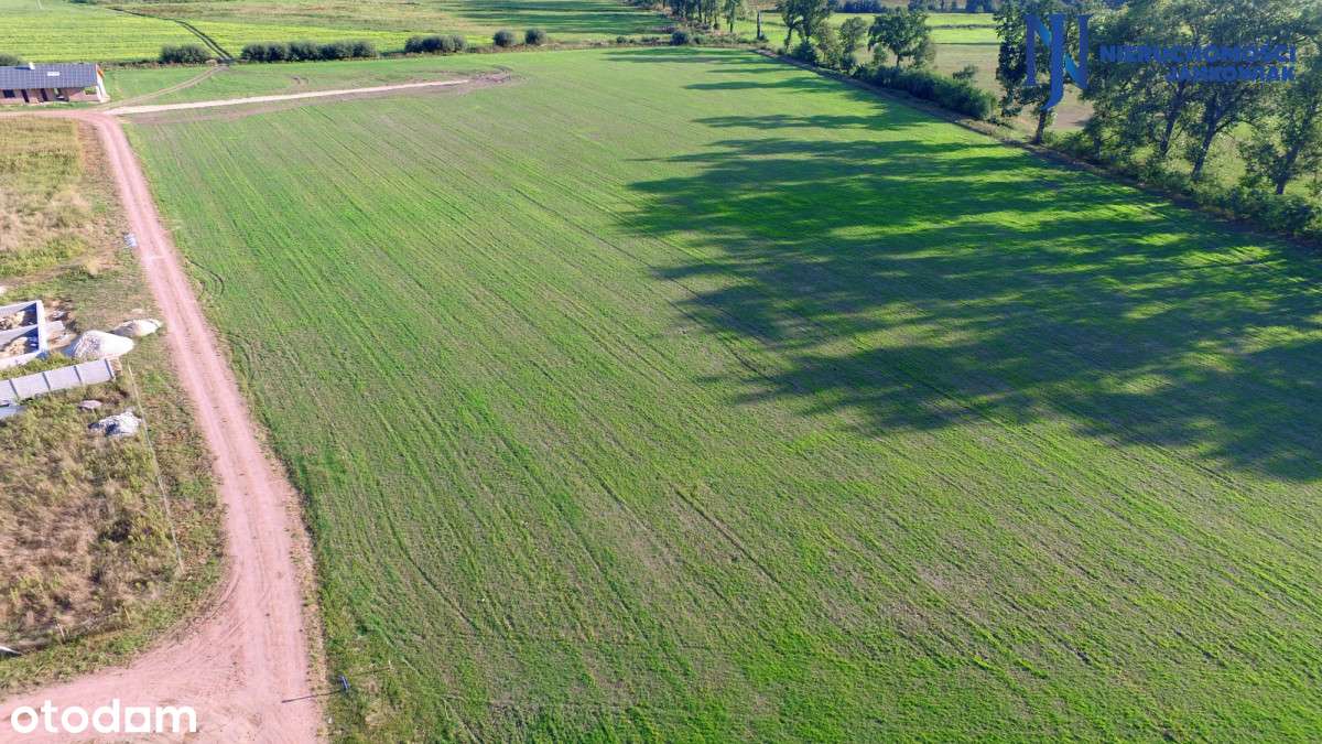 Stary Tomyśl/ warunki zabudowy/ blisko lasu - Pełny obrazek: 4/6