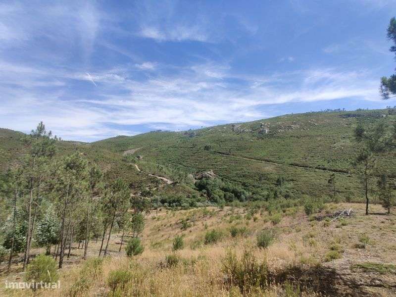 Terreno Rústico 5000m2 - Grande imagem: 5/5