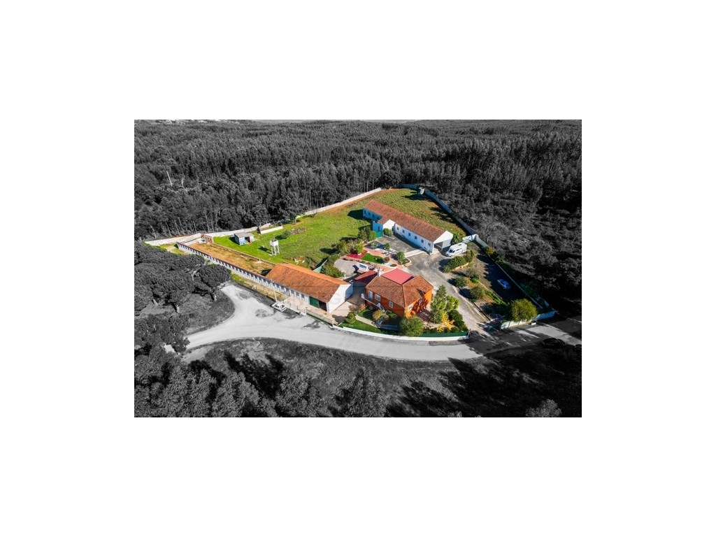 Quintinha com habitação, armazéns e terreno - Rio Maior-6