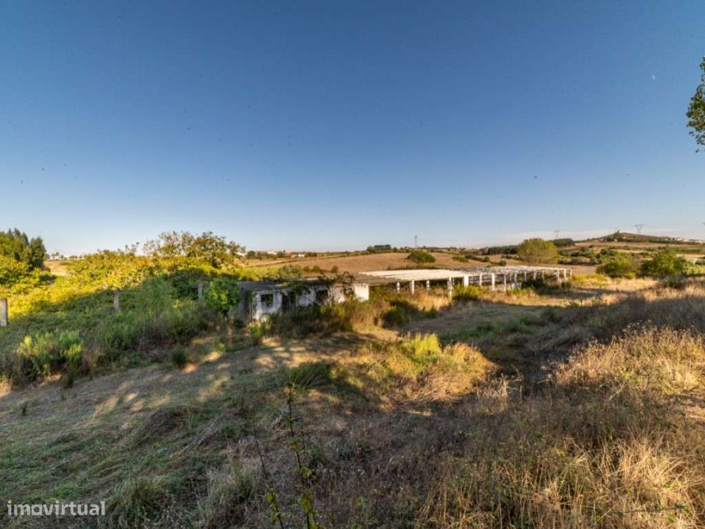 Propriedade - Freiria - Sobral Monte Agraço-15