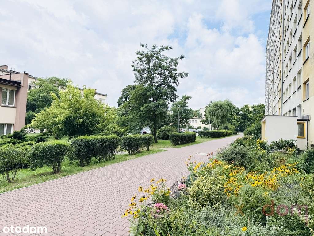 3 lub 4 pokoje Osiedle Sady-13