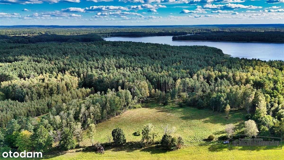 Pod Lasem Ok. 300 M Od Jeziora Pile - Dąbrowica --5