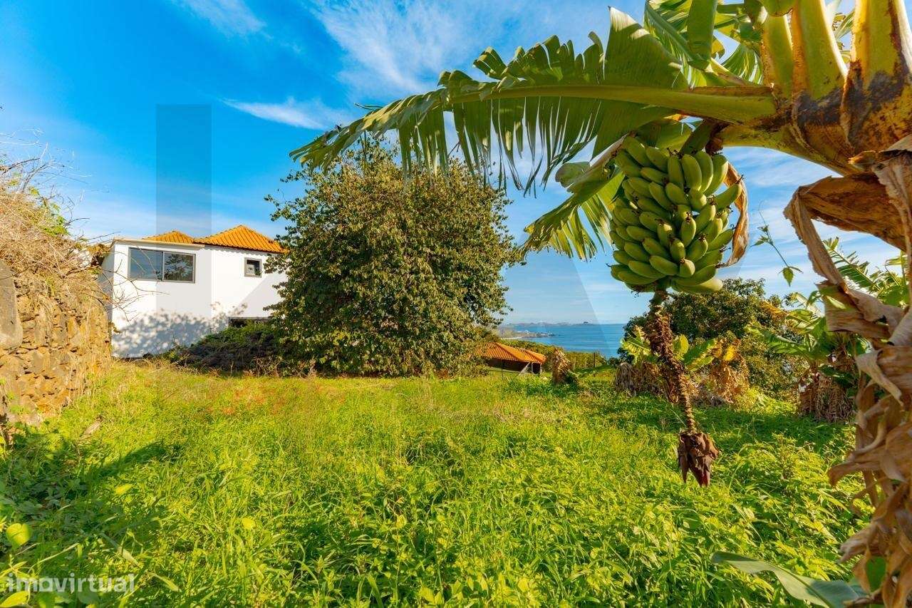 Moradia T3 com escritório, dois pisos e grande lote — Gaula, Santa Cru-53