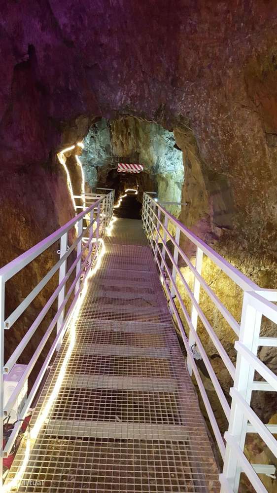 Quinta 5.3 ha, Covilhã-8