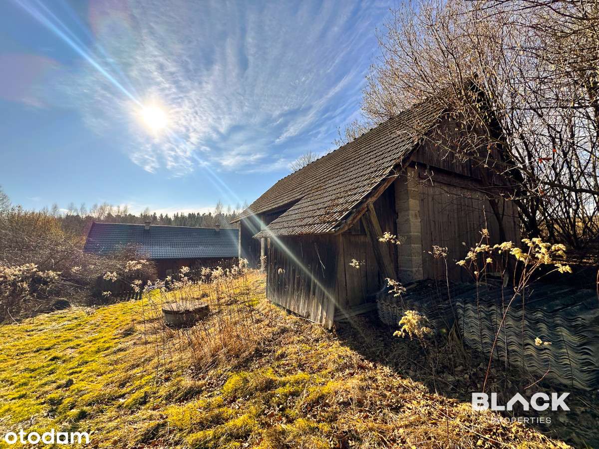 Działka 4,3 ha - ogromny potencjał inwestycyjny-2