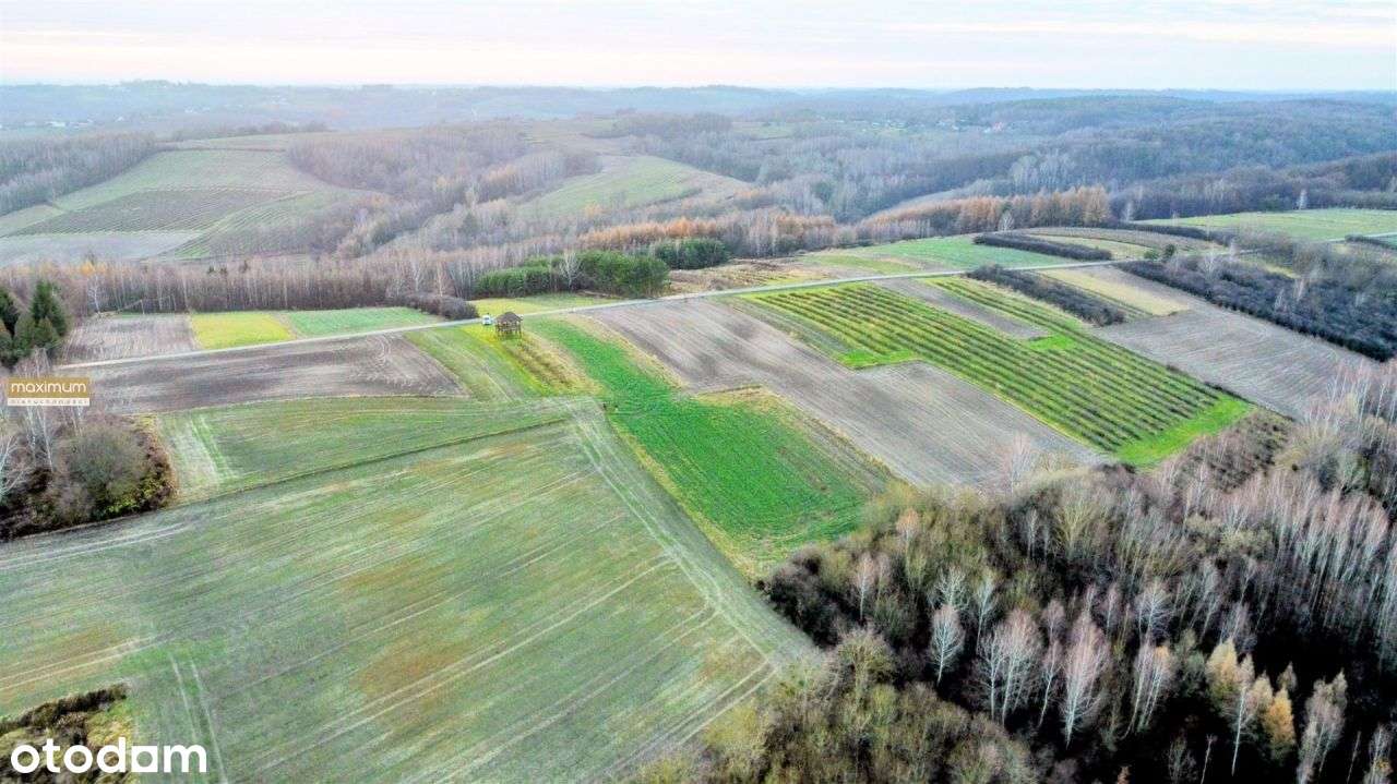 Działka budowlana na wzgórzu |16 i 77 ar|Roztocze-7