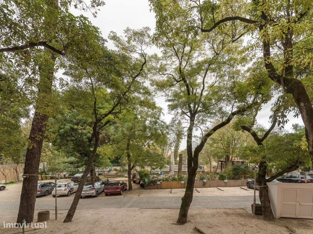 Apartamento T6 - Príncipe Real-19