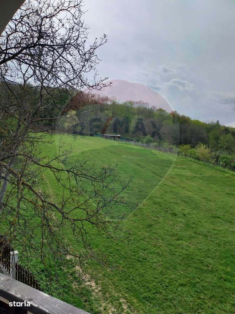 Teren 2,600 mp  sat. Lespezi com.  Gârleni,  Strada Preot Cezar Negru - Imagine principală: 4/9