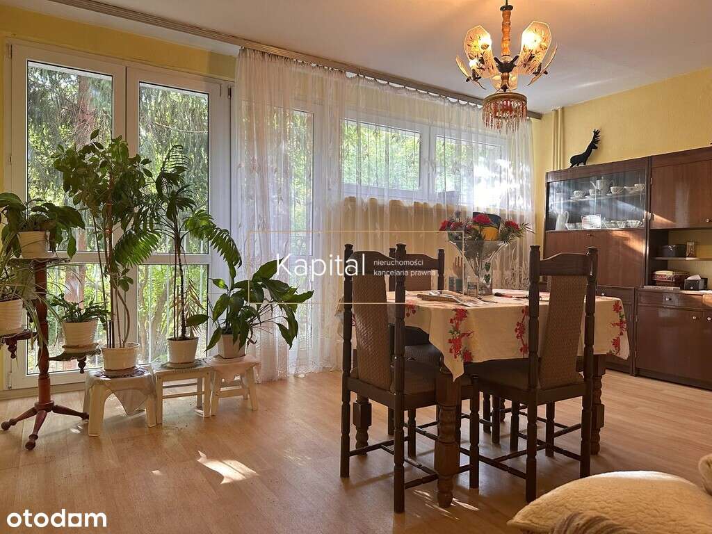 Osobna kuchnia, centrum, zielono, słoneczne;-1