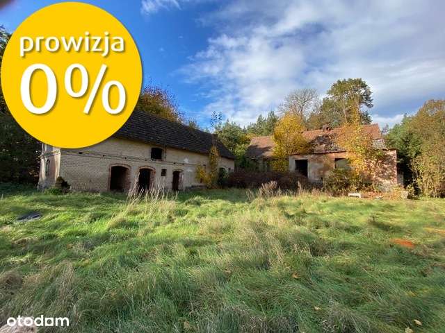 Siedlisko | 8,2 ha | Jędrzejewo k. Czarnkowa - Pełny obrazek: 4/12