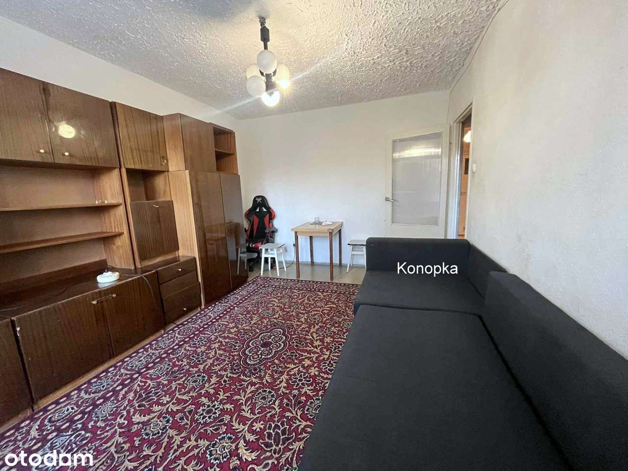 Do własnej aranżacji wolne od zaraz-5