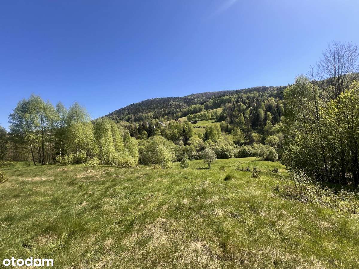 Pilnie sprzedam działkę budowlaną z widokiem Zalesie – obniżka! - Pełny obrazek: 4/14