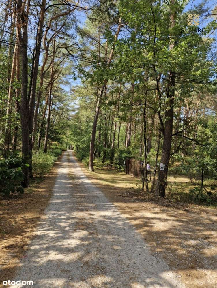 Działka 1700mkw z domkiem | Emów - Pełny obrazek: 5/12