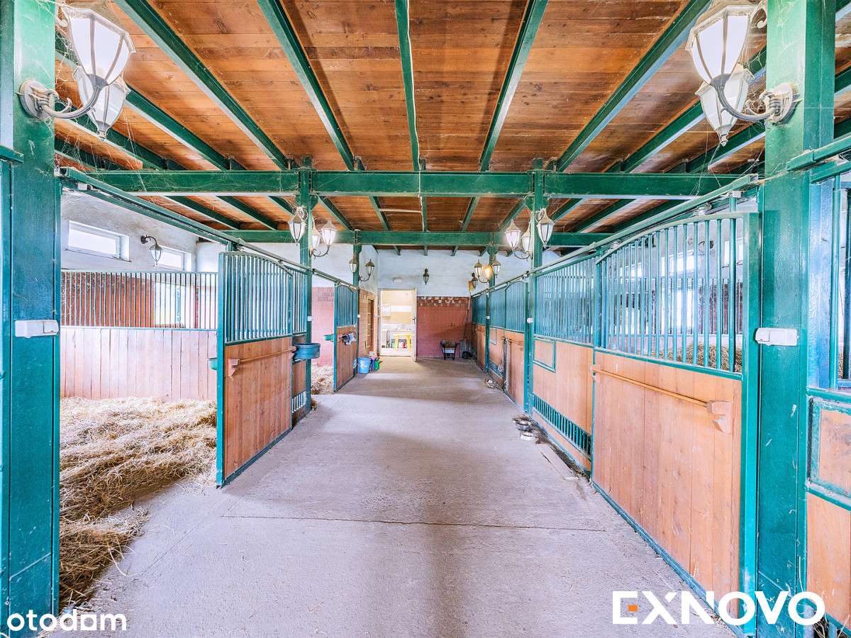 Siedlisko ze stajnią na 4-ha działce na Kaszubach.-9