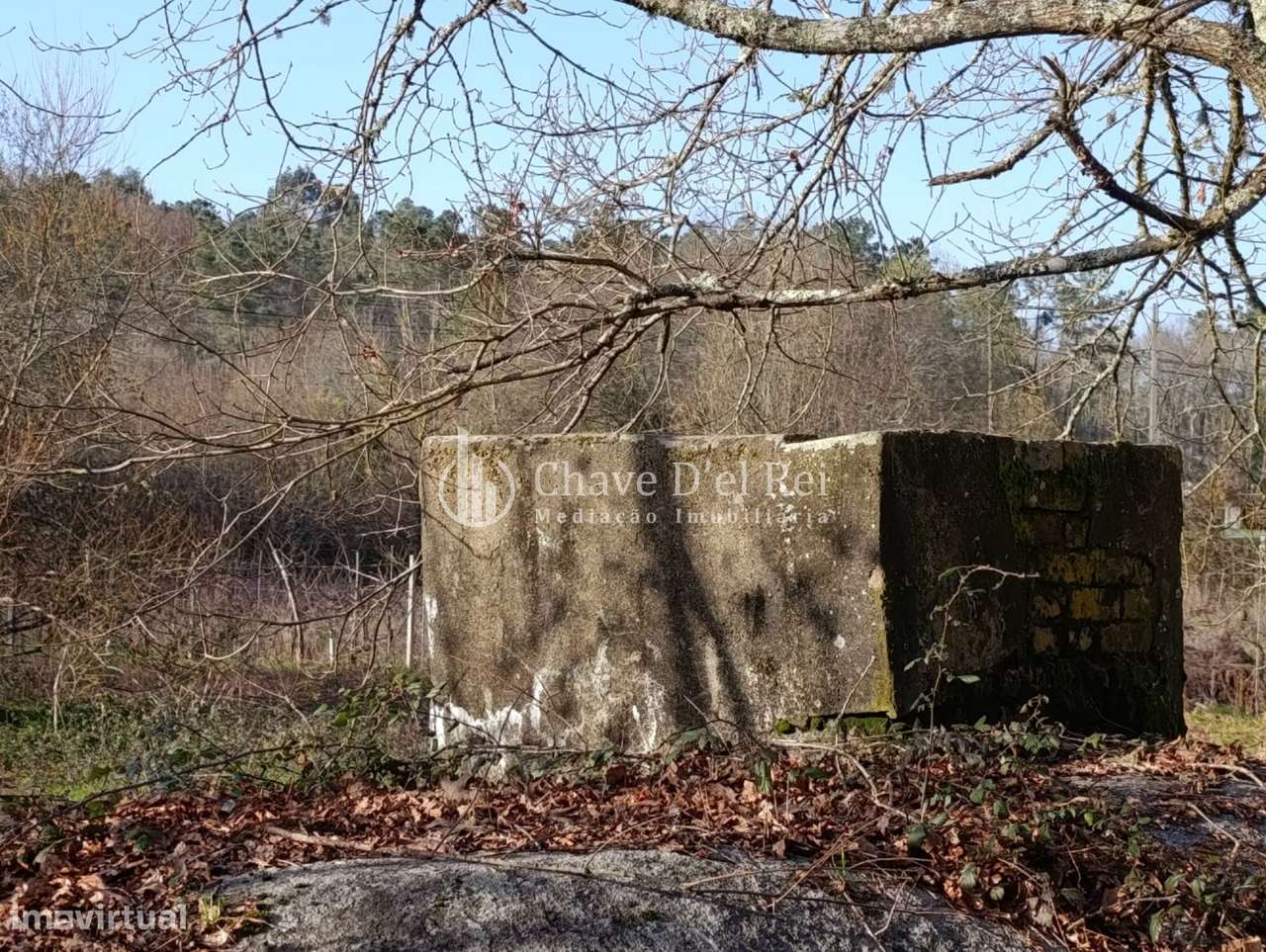 Terreno  Venda em Couto de Baixo e Couto de Cima,Viseu-3