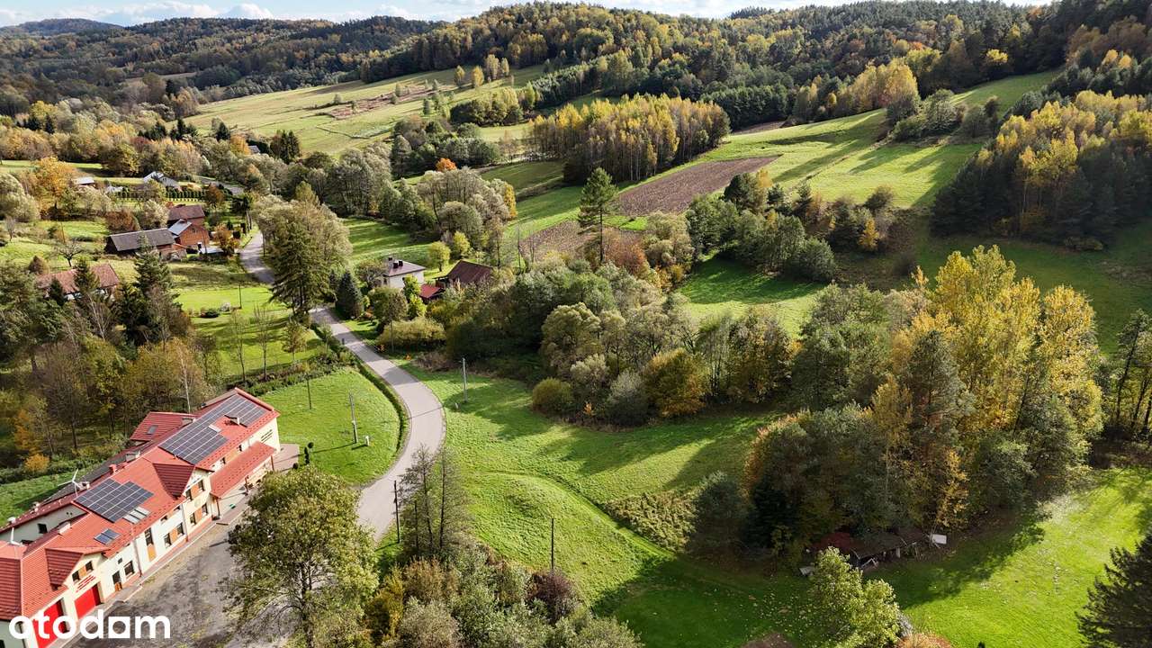 Pietrusza Wola – działka z WZ na 2 domy, media na działce-2