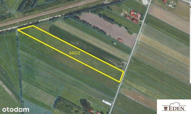 Działka budowlano-rolna 1,18 ha pod Łukowem - Pełny obrazek: 1/3