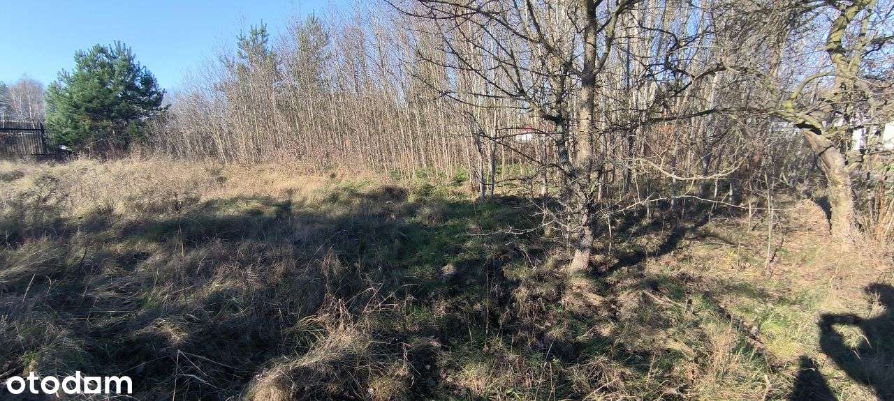 Atrakcyjna działka w okolicy Czarnego Lasu. - Pełny obrazek: 4/5