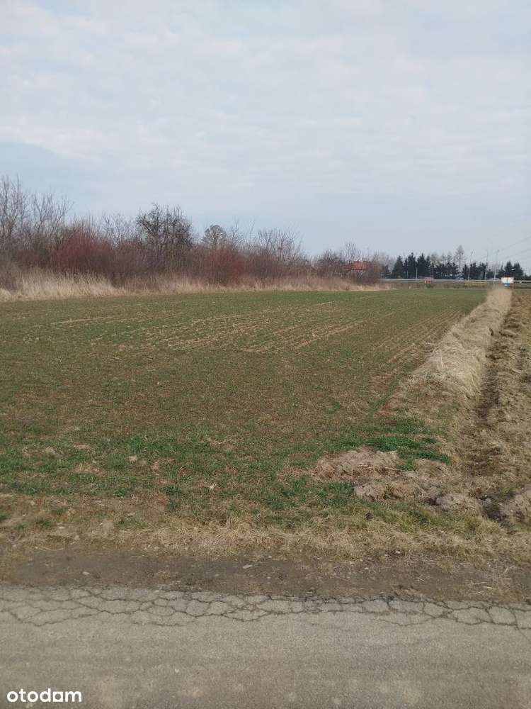 Działka z warunkami zabudowy 1887m2 ul. Wąwozy - Pełny obrazek: 4/9