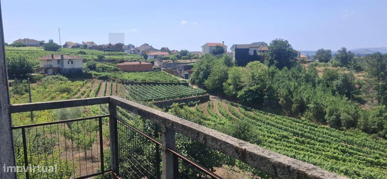 Quinta do Fojo / T8 / Vinhas / Oliveiras - Grande imagem: 4/31