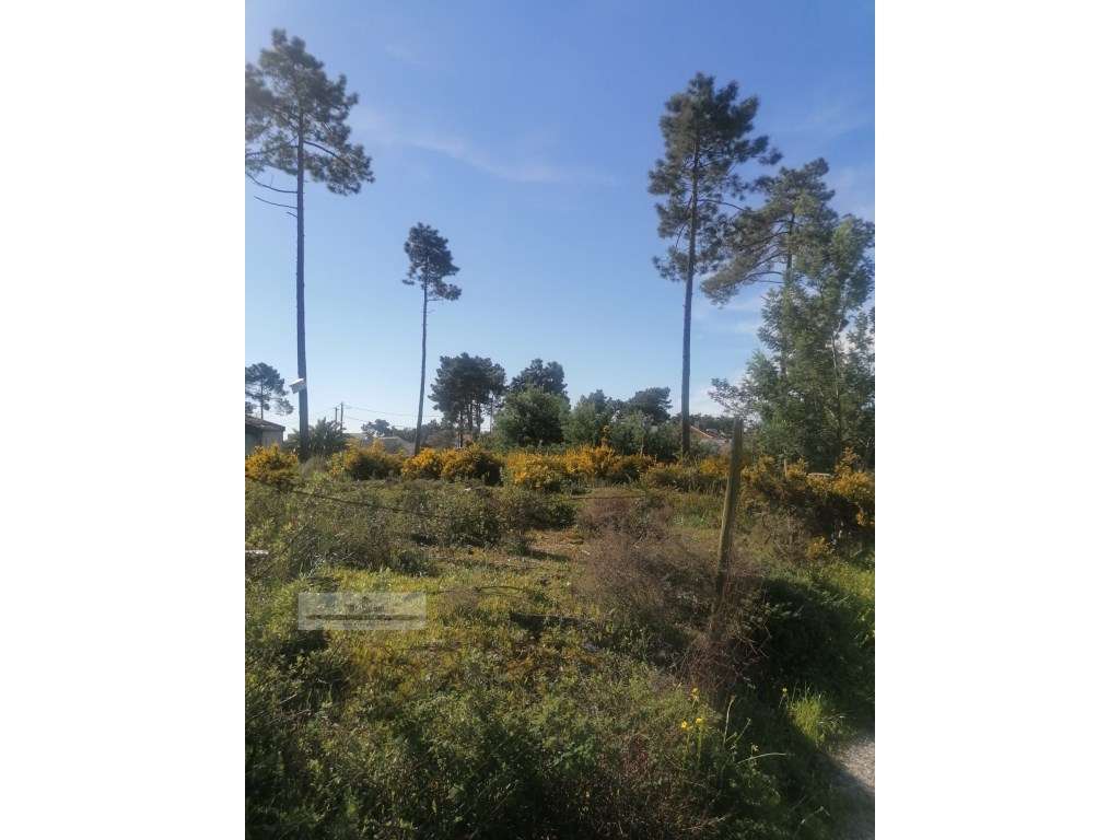 Terreno urbano com 3977 m2 na Aroeira, Charneca de Caparica. - Grande imagem: 5/16