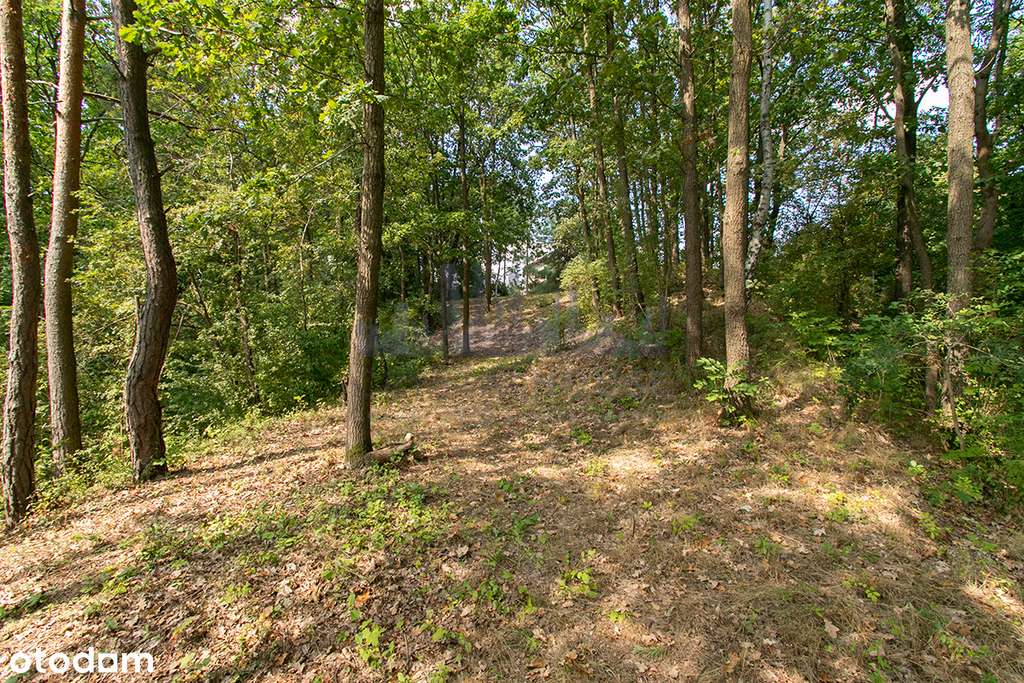 Ostatnia taka działka unikatowy widok na zalew - Pełny obrazek: 4/13