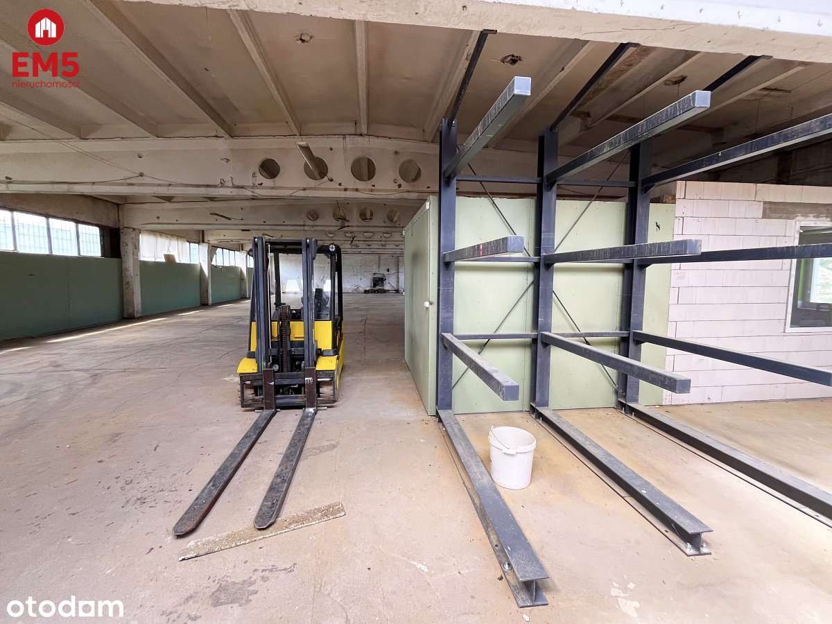 Magazyn, produkcja.  700 m2 - Pełny obrazek: 4/11