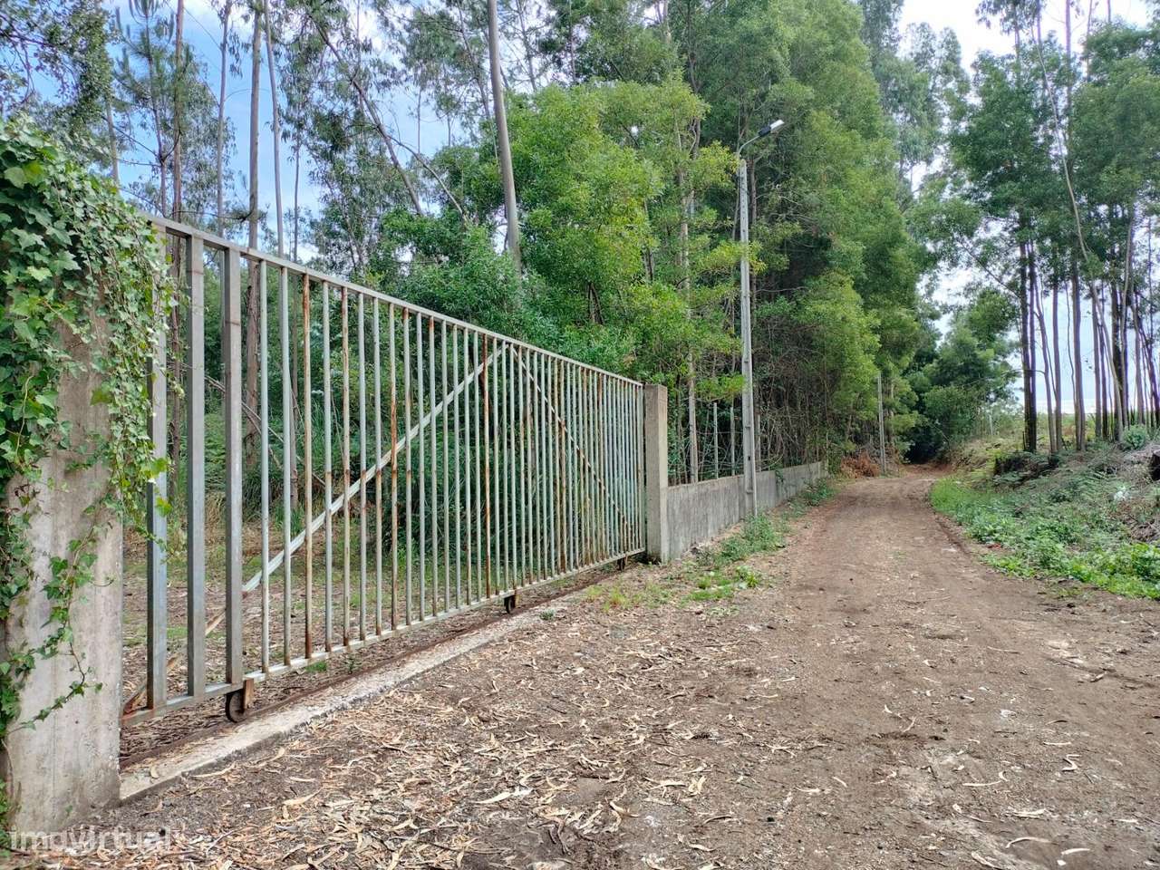 Terreno com mais de 12.000 m2 em Idanha, Espinho-5