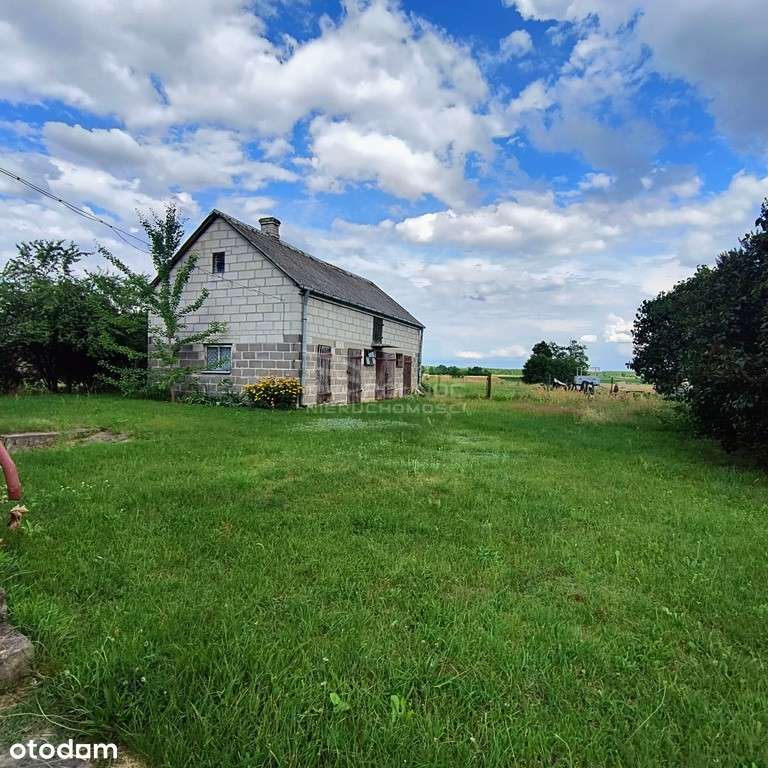 Siedlisko w malowniczym Kodniu, powiat bialski - Pełny obrazek: 4/12