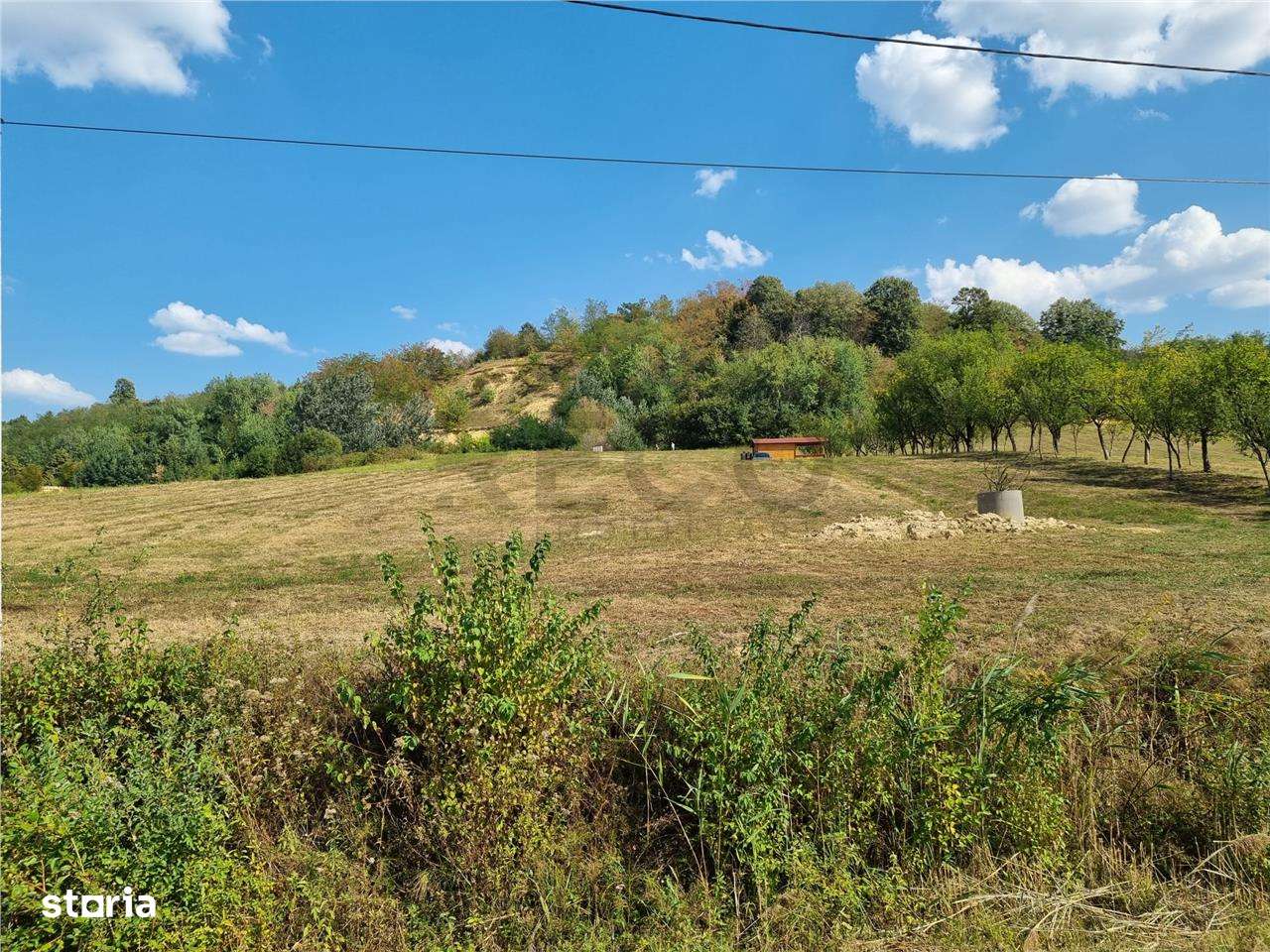 RECO Teren 8262 mp , Tileagd - Imagine principală: 4/7