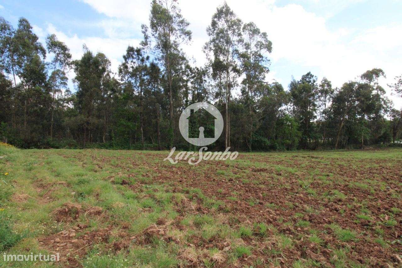 Terreno de construção com 6.190 m2 em Balazar - Grande imagem: 5/7