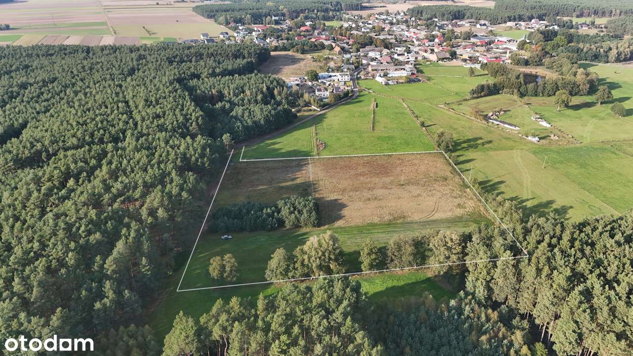 Duża, atrakcyjna działka otoczona lasami z wydanymi warunkami zabudowy - Pełny obrazek: 4/11