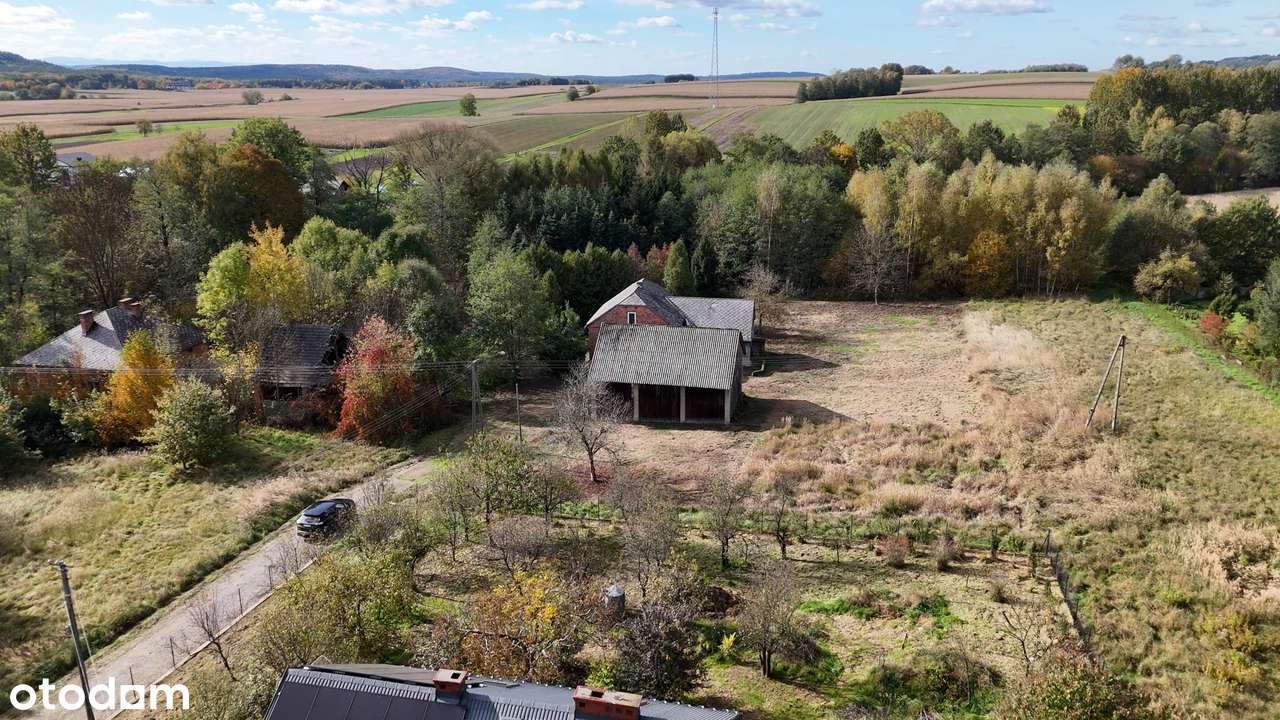 Działka 69 arów z zabudowaniami i lasem – Czułówek-7