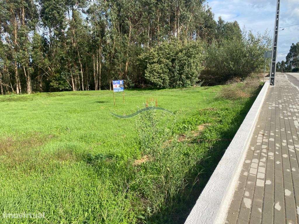 Terreno - São Miguel, Souto da Carpalhosa - Grande imagem: 2/9