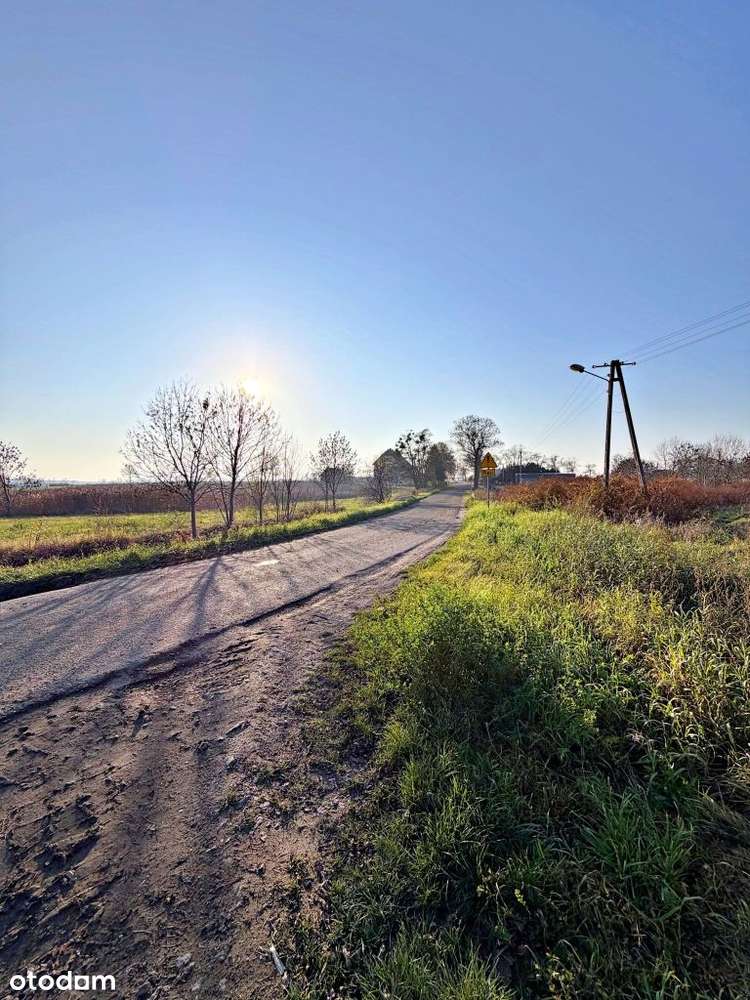 Działka z Wz pod Zab Jenorodzinną | Gutowo Wielkie-4