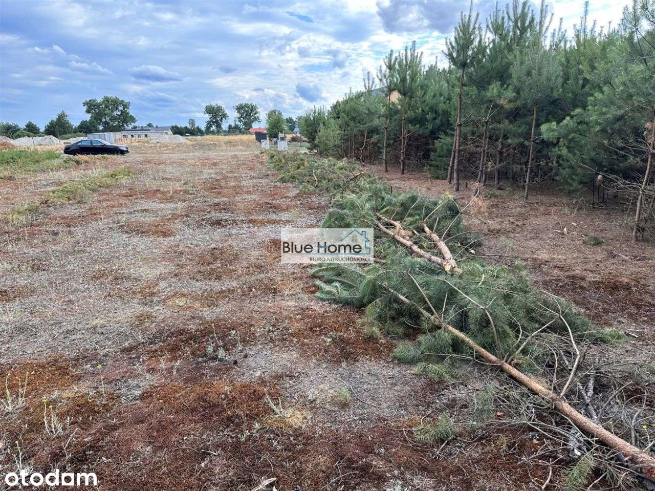 Działka Kamionki Małe 200m od jeziora - Pełny obrazek: 4/4