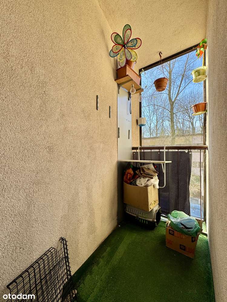 Przestronne*Dwupokojowe*Do remontu*Bezpośrednio - Pełny obrazek: 4/4