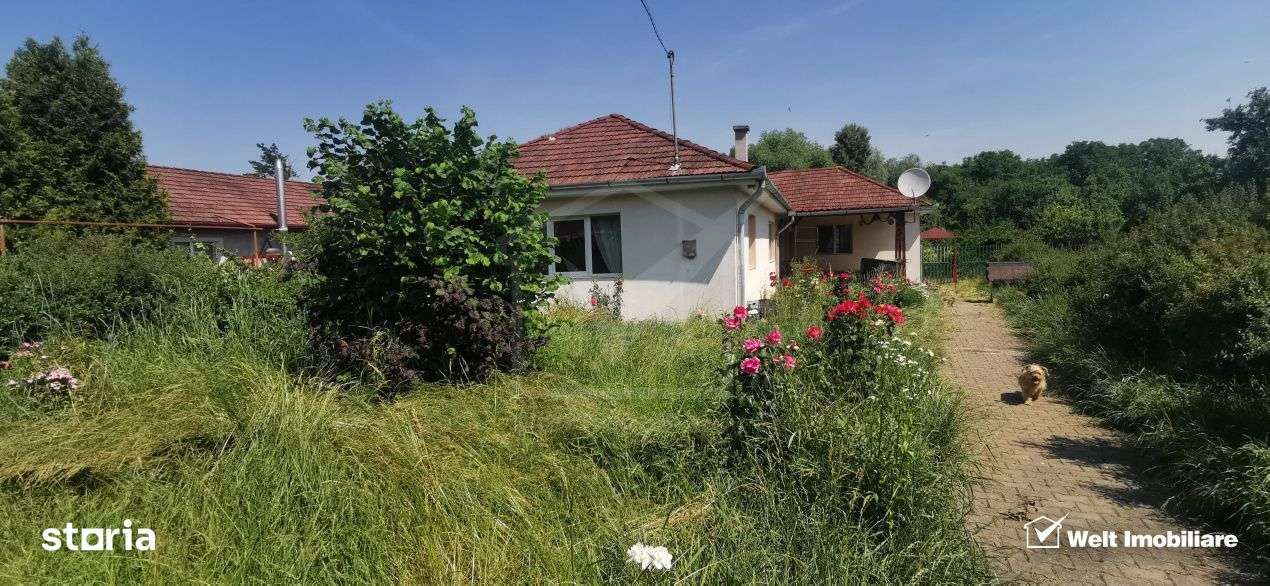 Casa individuala cu gradina frumoasa, teren mare Moldovenesti-Cluj - Imagine principală: 4/19