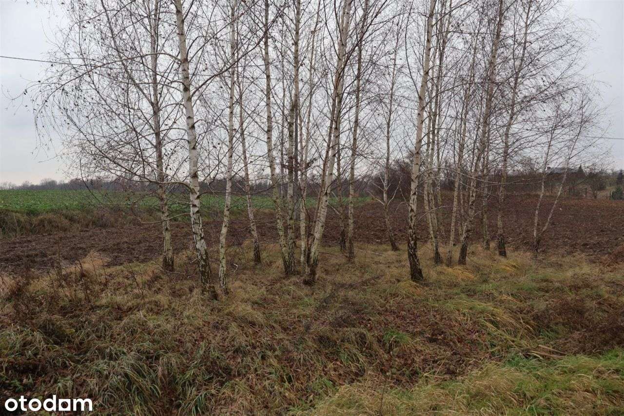 Działka w pobliżu jeziora - Łapinóżek-13