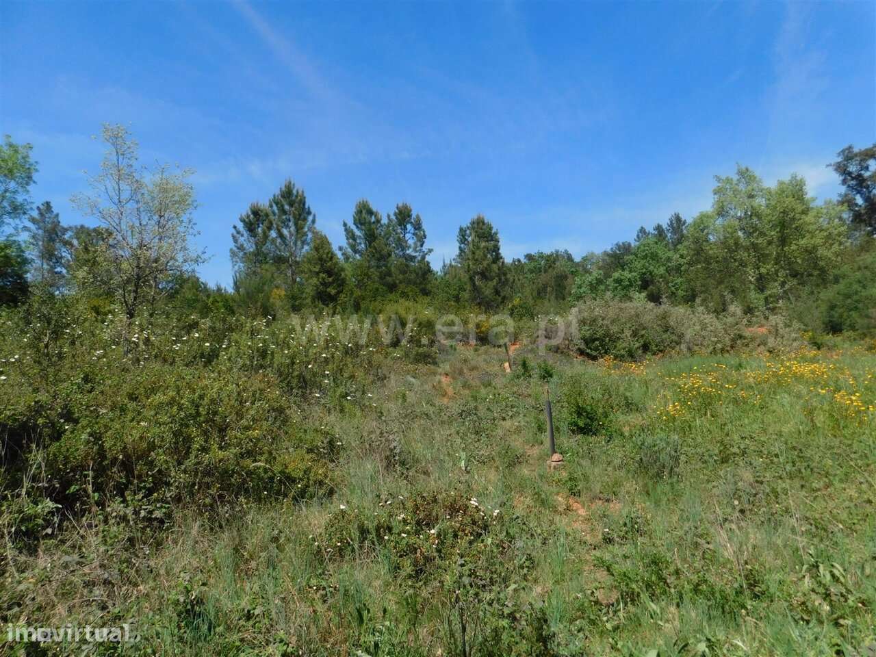 Terreno Rústico / Fundão, Fatela-16