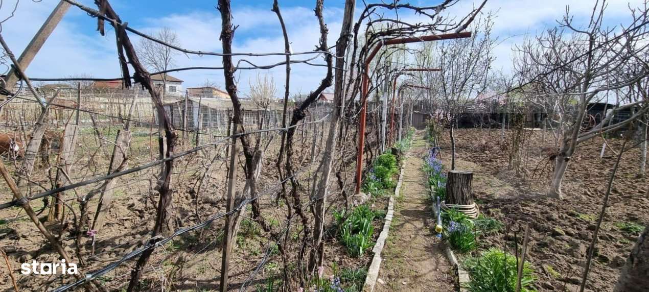 Casa si teren de 1000 mp , Bariera Valcii - Imagine principală: 4/4