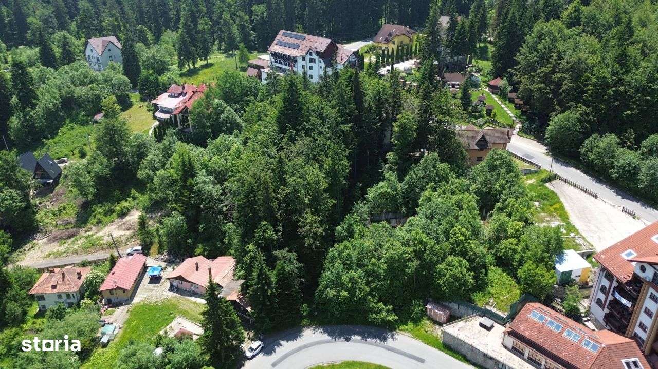 PREDEAL - Trei Brazi - Teren intravilan- 800 mp - Imagine principală: 4/20