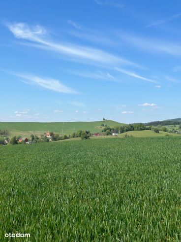 Działka z widokiem na Śnieżkę 11.5 ha MPZP-MU