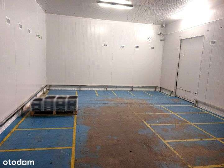 Hala sprzedaż Warszawa Targówek magazyn, chłodnia-9