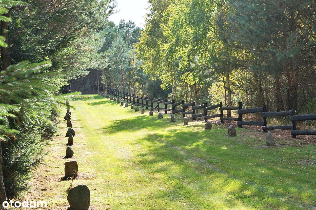 2,82 ha prywatnego lasu z domkiem – oaza spokoju na sprzedaż! - Pełny obrazek: 2/11