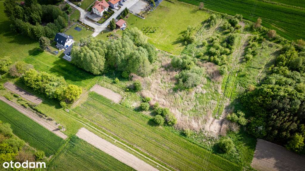 Działka 42 ary – idealna pod Krus – Zgłobień-4