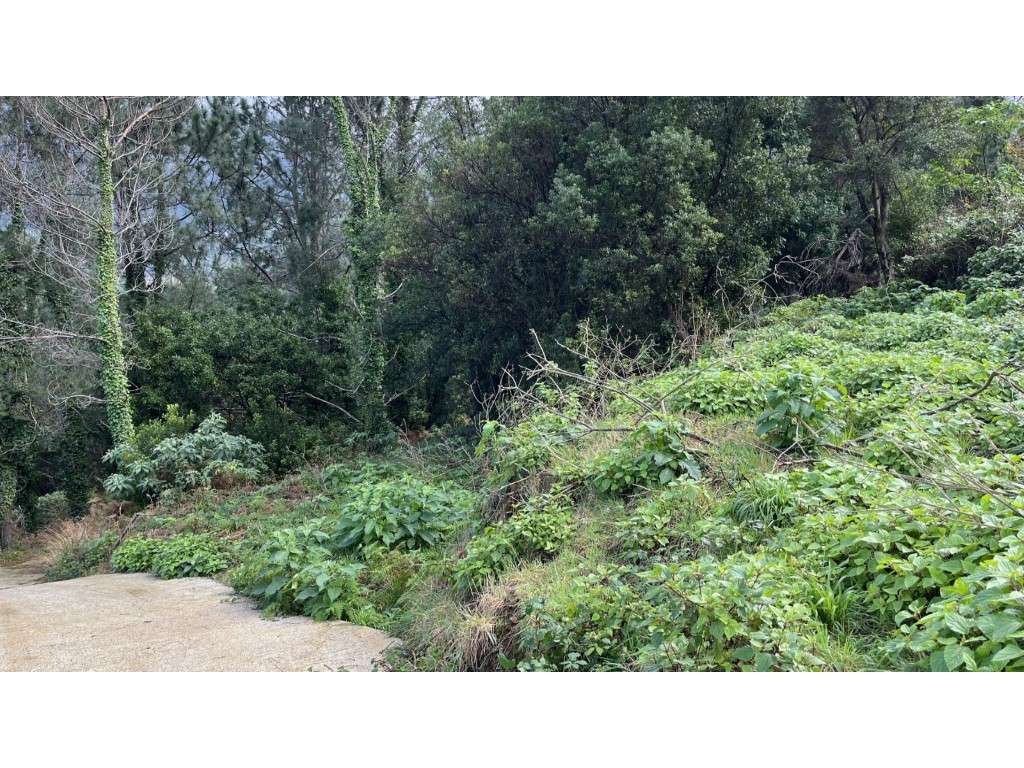 Terreno para o construção à venda São Vicente, Madeira - Grande imagem: 4/6