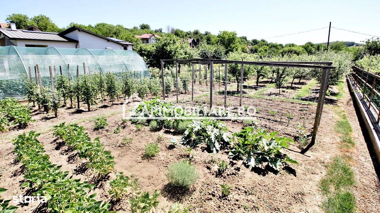 Teren intravilan 1.300 mp.zona Belvedere Targu Mures - Imagine principală: 3/13