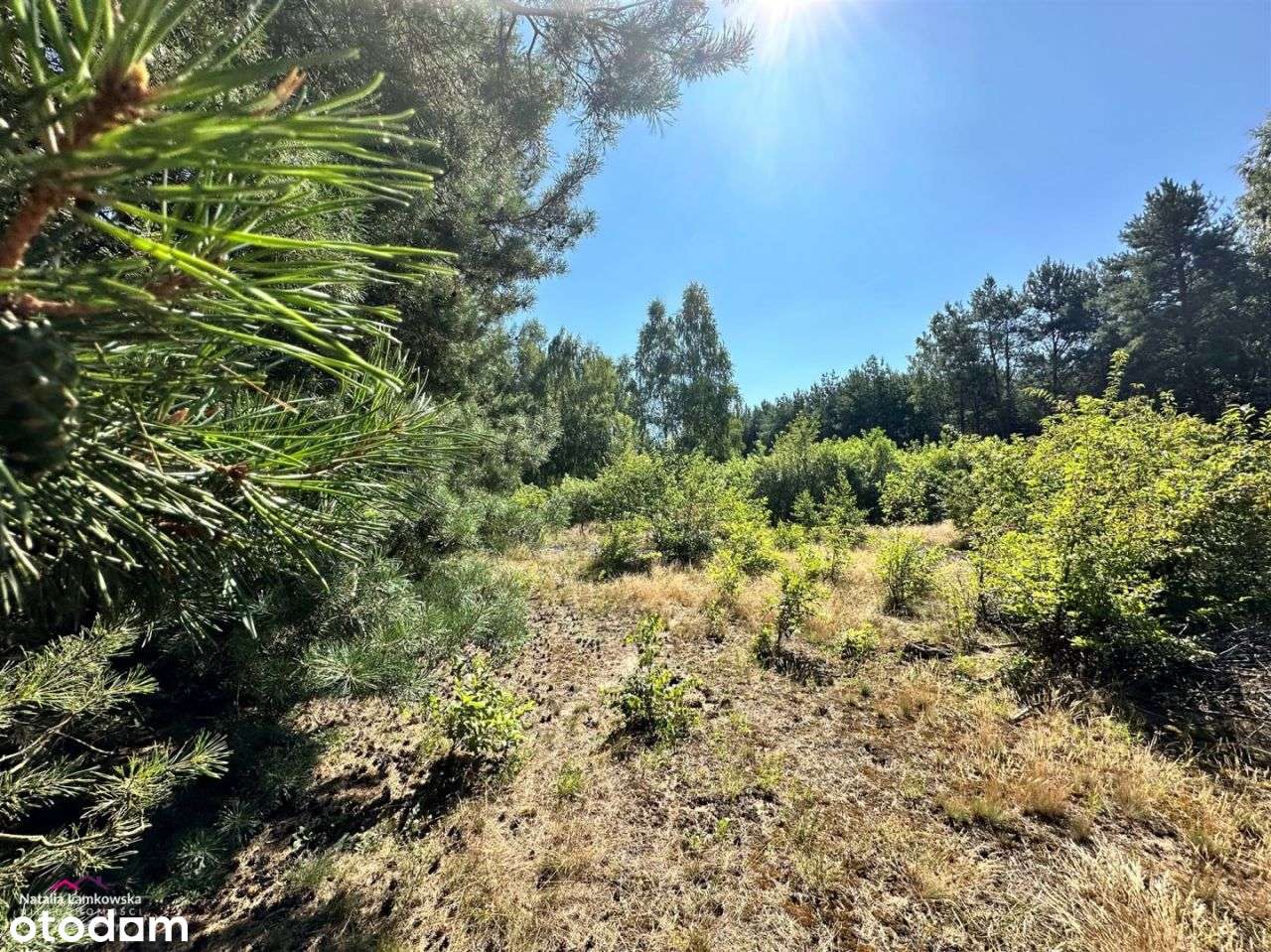 *KRUSZE*DZIAŁKA BUDOWLANA Z WARUNKAMI ZABUDOWY* - Pełny obrazek: 5/8