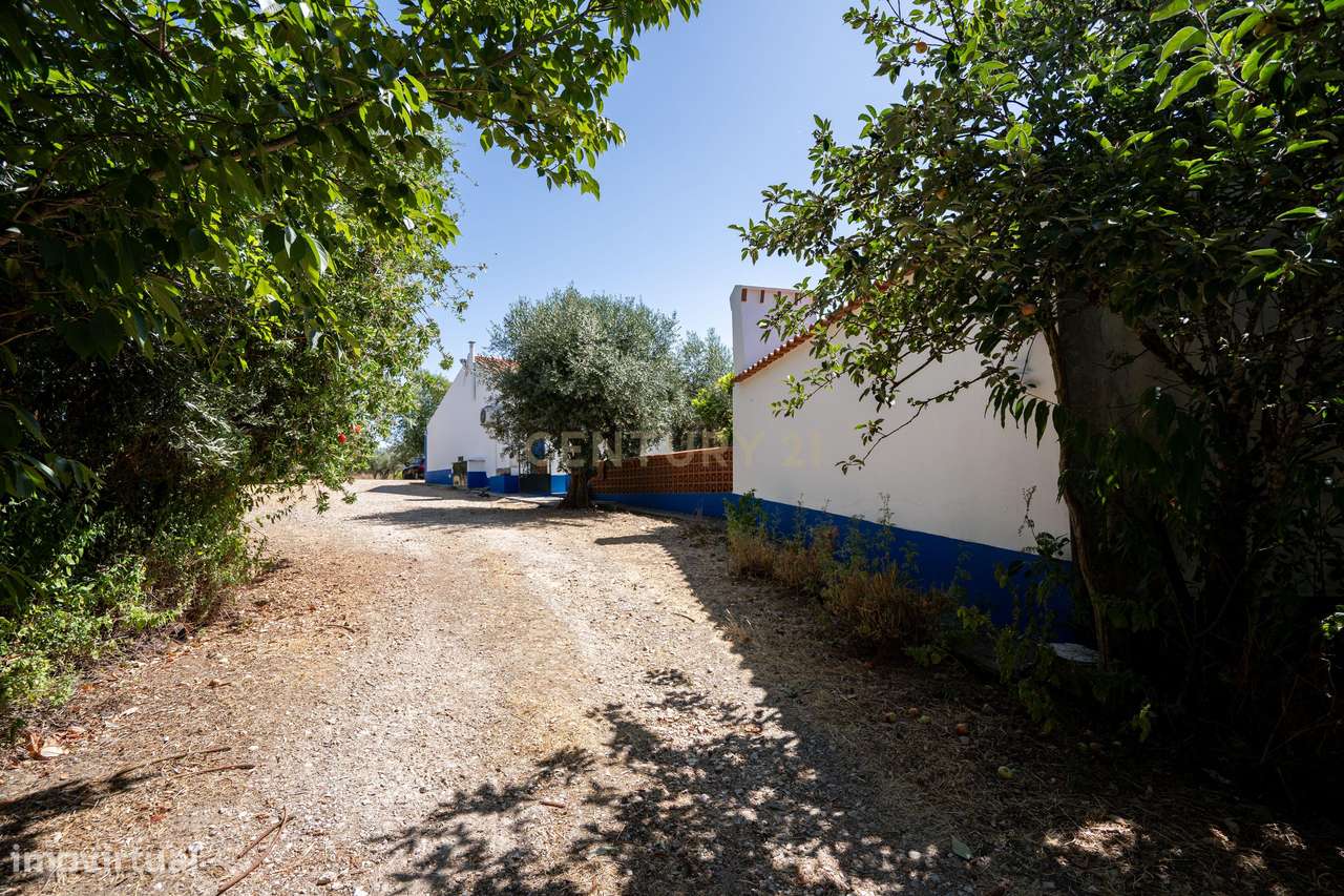 Quinta T3+3  com 4 HA em Borba – Natureza, Produção Agrícola e Confort - Grande imagem: 5/35